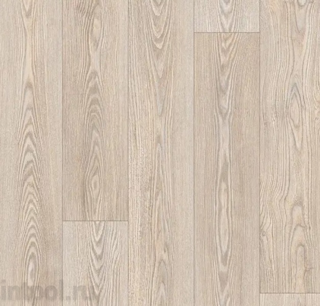 Линолеум Profi Master GLOSTER 4