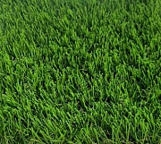 Искусственная трава  Деко 20 мм (4 цвета) 2 м