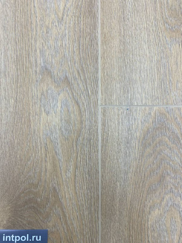 Tarkett Navigator Беринг