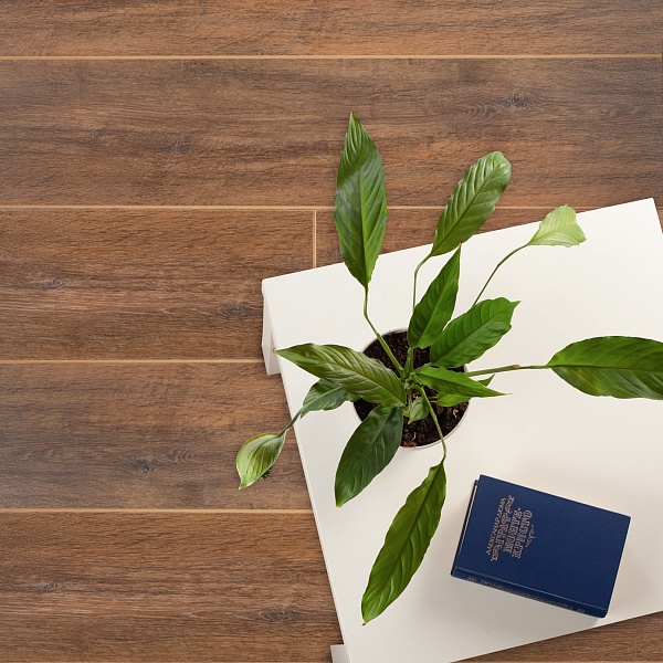 Tarkett Imperator Ballet Раймонда