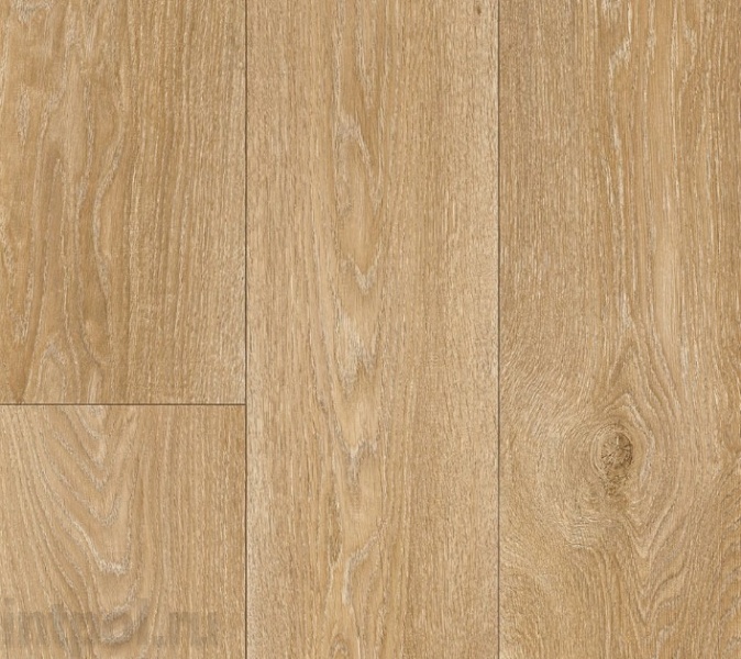 Линолеум Profi Master HAVANNA OAK 10