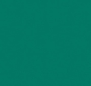 Спортивный линолеум OMNISPORTS ACTION 65 FOREST GREEN