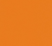 Спортивный линолеум OMNISPORTS ACTION 65 ORANGE