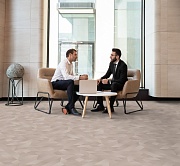 Линолеум Profi Master ORIGAMI 1